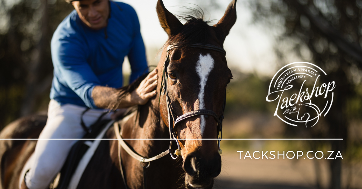 Tack Shack – The One-Stop Equestrian store in Cape Town