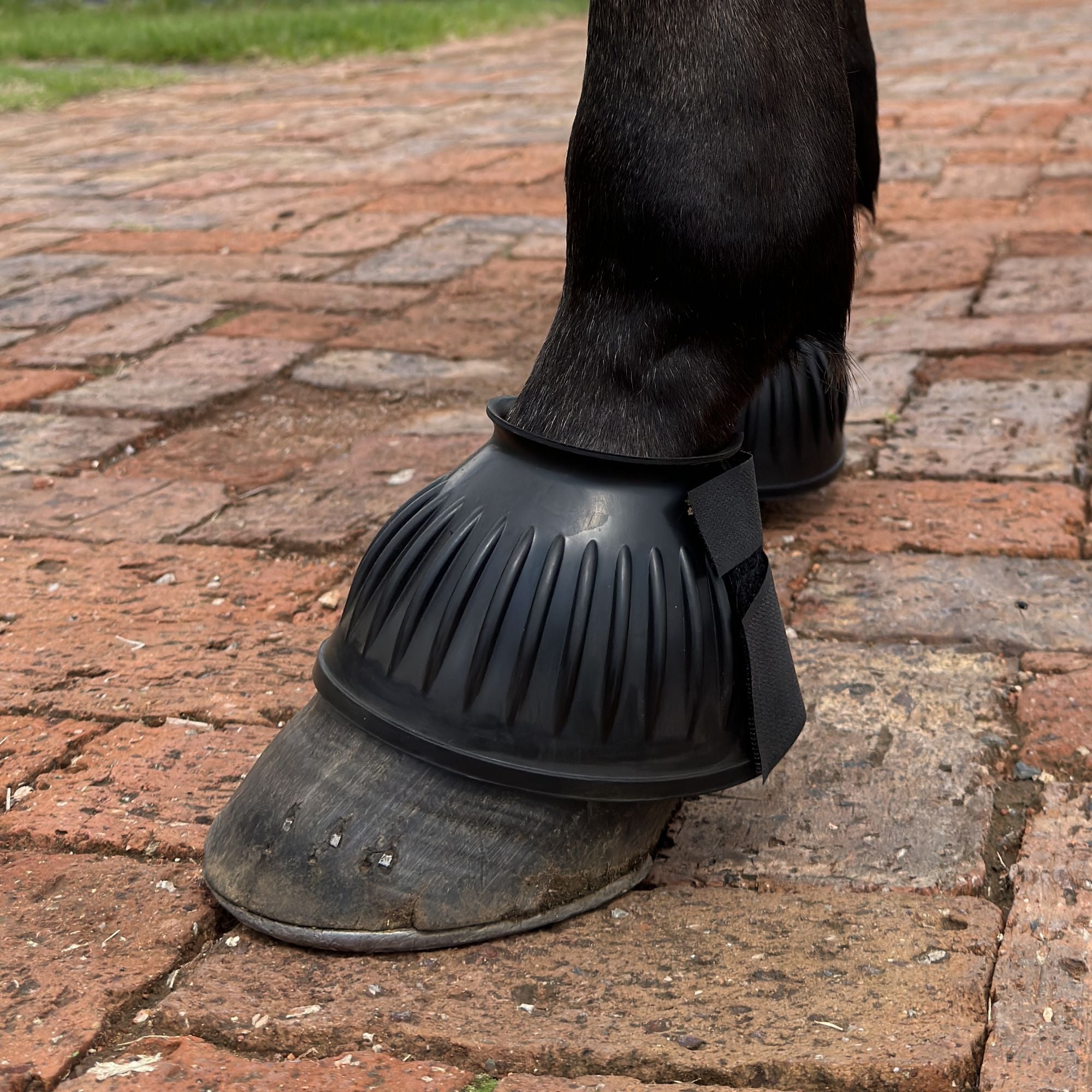 Tackshop .za Horse Over Reach Boot with velcro